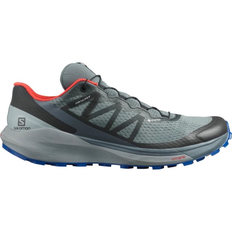 Tenis Para Trail Running Salomon Sense Ride 4 GTX Invisible Fit Hombre Grises | MX TEGA957